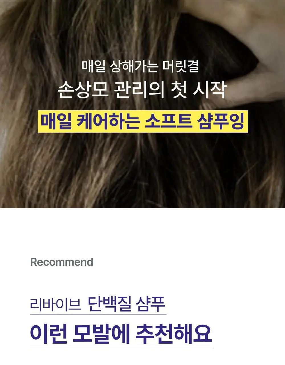 [단백질 2배]힐링버드 리바이브 단백질 샴푸 500ml 상세페이지 4